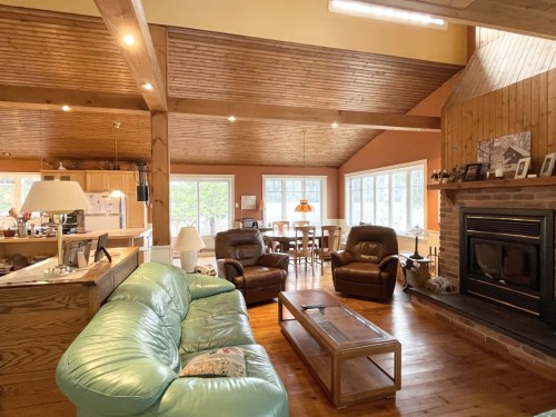 Salon - 699 Ch. Du Lac-Des-Cornes, Chute-Saint-Philippe, QC - Indoor Photo Showing Living Room With Fireplace