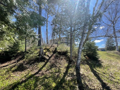 Vue - 699 Ch. Du Lac-Des-Cornes, Chute-Saint-Philippe, QC - Outdoor With View