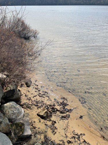 Bord de l'eau - 699 Ch. Du Lac-Des-Cornes, Chute-Saint-Philippe, QC - Outdoor With Body Of Water With View