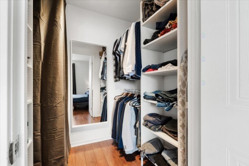 Penderie (Walk-in) - 9698 Rue Riverin, Brossard, QC - Indoor With Storage