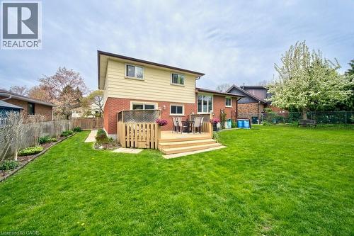 Expansive backyard featuring a tiered wood-finish deck, a substantial lawn area, and mature trees - 34 Westwood Crescent, Kitchener, ON - Outdoor With Exterior