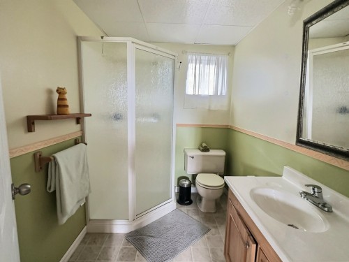 Bathroom - 407 Ch. St-Luc, Rouyn-Noranda, QC - Indoor Photo Showing Bathroom