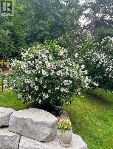 Flowering shrubs and trees adorn a landscaped garden area - 1333 Hidden Valley Road, Burlington, ON - Outdoor