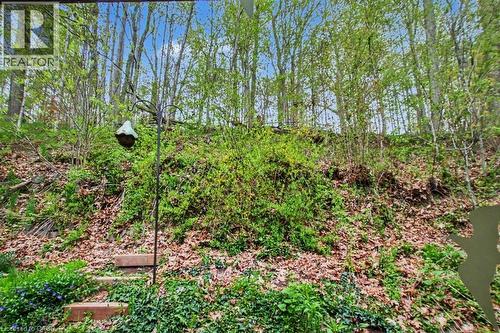 Natural wooded hillside with mature trees and dense undergrowth - 1333 Hidden Valley Road, Burlington, ON - Outdoor