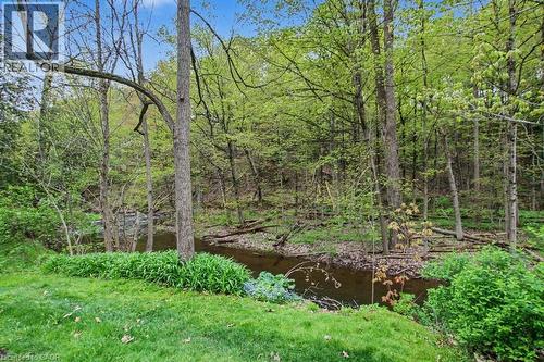 Lush wooded landscape featuring a natural stream, mature trees, and vibrant green foliage - 1333 Hidden Valley Road, Burlington, ON - Outdoor With Body Of Water