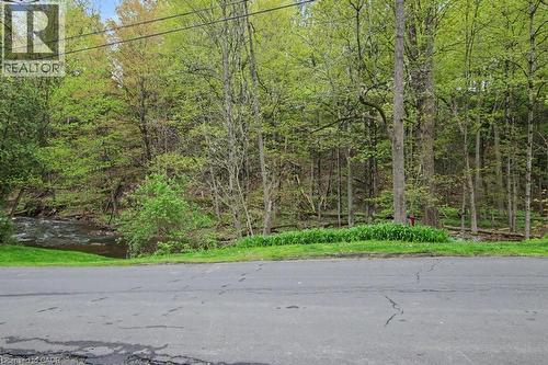 Wooded natural landscape featuring a flowing creek and established trees - 1333 Hidden Valley Road, Burlington, ON - Outdoor