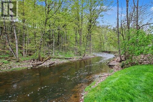 Serene natural stream winding through a verdant, wooded landscape - 1333 Hidden Valley Road, Burlington, ON - Outdoor With Body Of Water With View