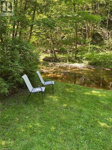 Grassy area backing onto a natural waterway, bordered by mature trees and lush vegetation - 1333 Hidden Valley Road, Burlington, ON - Outdoor