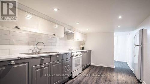 43 Crooks Street, Hamilton, ON - Indoor Photo Showing Kitchen With Double Sink With Upgraded Kitchen