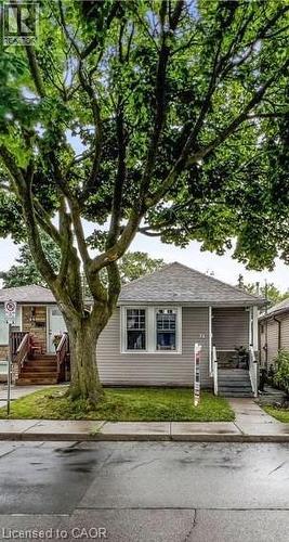 Single-story residence featuring light gray siding, a gabled roof, and a mature front yard tree - 74 Province Street N, Hamilton, ON - Outdoor