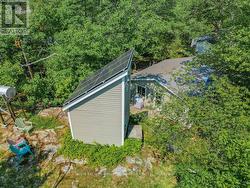 Bunkie - 
