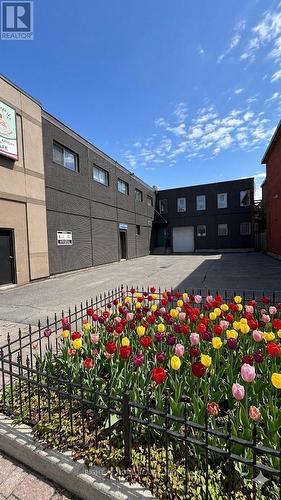 939 Somerset Street W, Ottawa, ON 