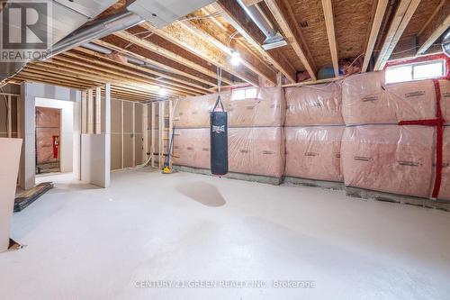 265 Scott Boulevard, Milton, ON - Indoor Photo Showing Basement