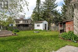 Back Yard - 