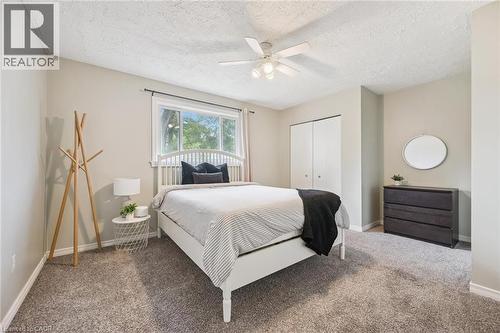 Spacious room featuring neutral carpeting, a large window with natural light, and a ceiling fan - 87 Barbara Crescent, Kitchener, ON - Indoor Photo Showing Bedroom