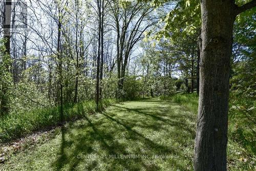 753333 2Nd Line Ehs, Mono, ON - Outdoor