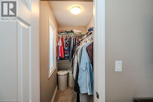 Walk-in closet featuring built-in shelving, hanging rods, an integrated ceiling light, a window with blinds, and carpet flooring - 275 Old Huron Road Unit# 21, Kitchener, ON - Indoor With Storage