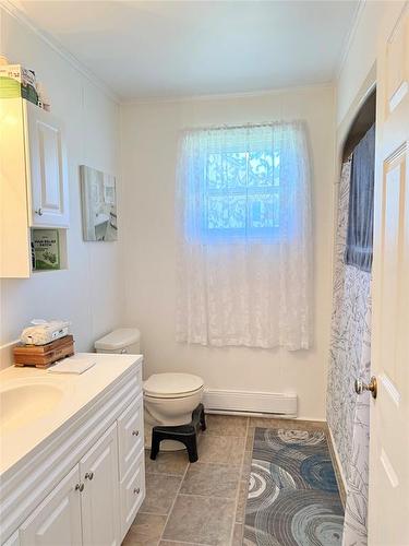 229 Reidville Road, Reidville, NL - Indoor Photo Showing Bathroom