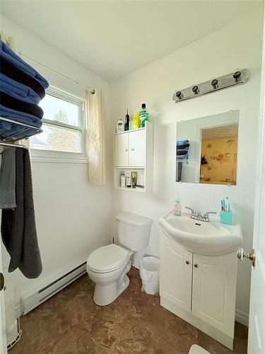 229 Reidville Road, Reidville, NL - Indoor Photo Showing Bathroom