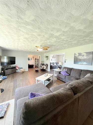 229 Reidville Road, Reidville, NL - Indoor Photo Showing Living Room
