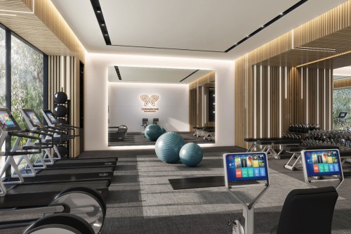 Exercise Room - 905-3000 Boul. Thimens, Montréal (Saint-Laurent), QC - Indoor Photo Showing Gym Room