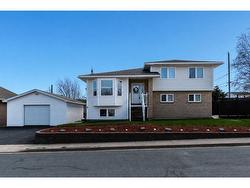 89 Firdale Drive  St. John S, NL A1A 4X6