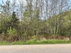 Lot Blakney Road Killams Mills, NB E4Z 2V1