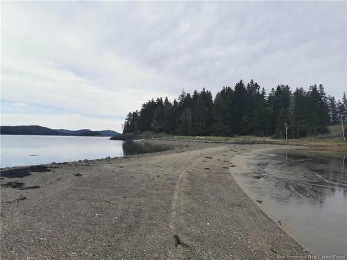 - Hog Island, Bocabec, NB 