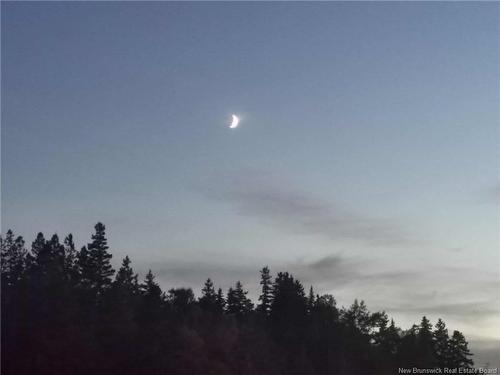 - Hog Island, Bocabec, NB 