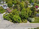 133 Mccall Crescent, Simcoe, ON  - Outdoor With View 