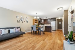Salon - 
