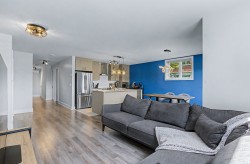 Living Room - 