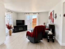 Salon - 