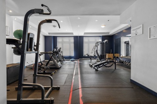 Salle d'exercice - 900-1449 Rue St-Alexandre, Montréal (Ville-Marie), QC - Indoor Photo Showing Gym Room