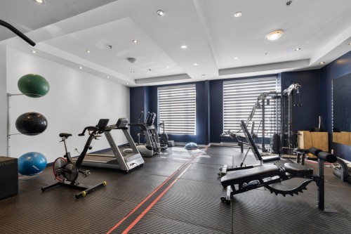 Salle d'exercice - 900-1449 Rue St-Alexandre, Montréal (Ville-Marie), QC - Indoor Photo Showing Gym Room