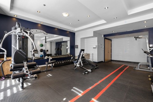 Salle d'exercice - 900-1449 Rue St-Alexandre, Montréal (Ville-Marie), QC - Indoor Photo Showing Gym Room
