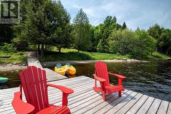 Relaxing on the Dock - 