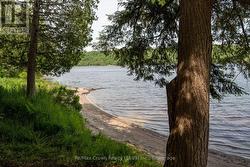 Private sandy shoreline - 