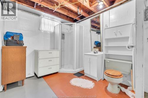 380 Partington, Windsor, ON - Indoor Photo Showing Basement