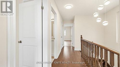 1168 Drawstring Lane, Pickering, ON 