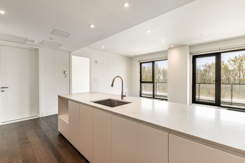 Kitchen - 308-900 Rue André-Prévost, Montréal (Verdun/Île-Des-Soeurs), QC - Indoor Photo Showing Kitchen