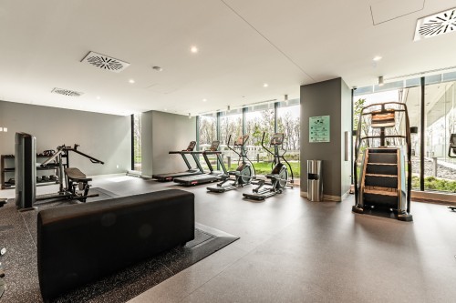Exercise Room - 308-900 Rue André-Prévost, Montréal (Verdun/Île-Des-Soeurs), QC - Indoor Photo Showing Gym Room