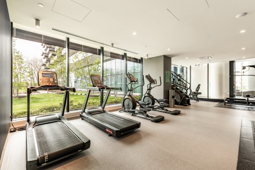 Exercise Room - 308-900 Rue André-Prévost, Montréal (Verdun/Île-Des-Soeurs), QC - Indoor Photo Showing Gym Room