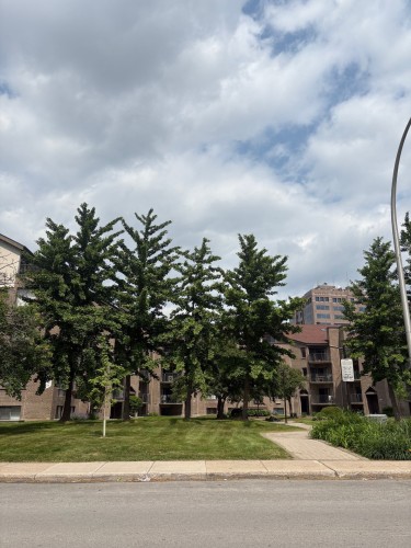 Extérieur - 208-3073 Rue Édouard-Montpetit, Laval (Chomedey), QC - Outdoor