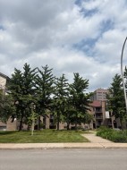 208-3073 Rue Édouard-Montpetit Laval (Chomedey), QC H7T 2T5