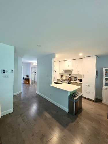 Cuisine - 208-3073 Rue Édouard-Montpetit, Laval (Chomedey), QC - Indoor Photo Showing Other Room