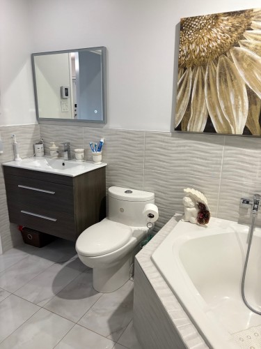 Salle de bains - 208-3073 Rue Édouard-Montpetit, Laval (Chomedey), QC - Indoor Photo Showing Bathroom