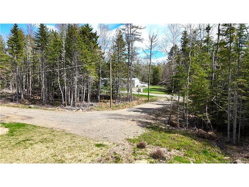 39 L Harkness Rd, Chamcook, NB 