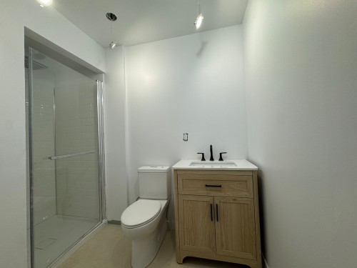 Bathroom - 4528 Rue Chambord, Montréal (Le Plateau-Mont-Royal), QC - Indoor Photo Showing Bathroom