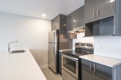 Cuisine - 133-10150 Boul. St-Laurent, Montréal (Ahuntsic-Cartierville), QC - Indoor Photo Showing Kitchen With Double Sink